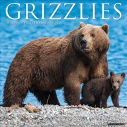 Buy Grizzlies 2026 12 X 12 Wall Calendar