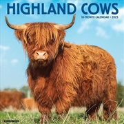 Buy Highland Cows 2026 12 X 12 Wall Calendar