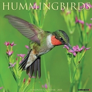 Buy Hummingbirds 2026 12 X 12 Wall Calendar