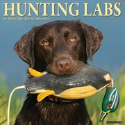 Buy Hunting Labs 2026 12 X 12 Wall Calendar