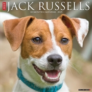 Buy Jack Russells 2026 12 X 12 Wall Calendar