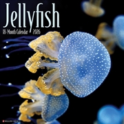 Buy Jellyfish 12 X 12 Wall Calendar