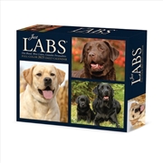 Buy Just Labs 2026 5.4 X 6.2 Box Calendar