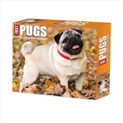 Buy Just Pugs 2026 5.4 X 6.2 Box Calendar