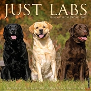 Buy Labs 2026 12 X 12 Wall Calendar
