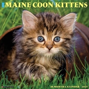 Buy Maine Coon Kittens 2026 12 X 12 Wall Calendar