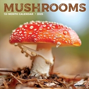Buy Mushrooms 2026 7 X 7 Mini Wall Calendar