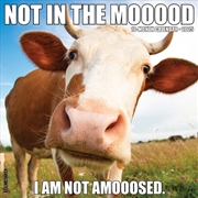 Buy Not In The Mooood 2026 12 X 12 Wall Calendar