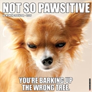 Buy Not So Pawsitive 12 X 12 Wall Calendar