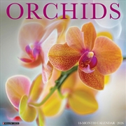Buy Orchids 12 X 12 Wall Calendar