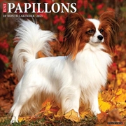 Buy Papillons 2026 12 X 12 Wall Calendar