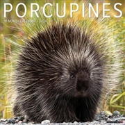 Buy Porcupines 12 X 12 Wall Calendar