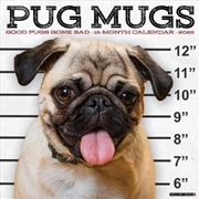 Buy Pug Mugs 2026 12 X 12 Wall Calendar