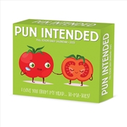 Buy Pun Intended 2026 5.4 X 6.2 Box Calendar
