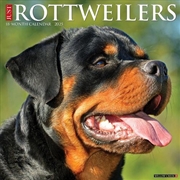 Buy Rottweilers 2026 12 X 12 Wall Calendar