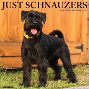 Buy Schnauzers 2026 12 X 12 Wall Calendar
