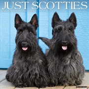 Buy Scotties 2026 12 X 12 Wall Calendar