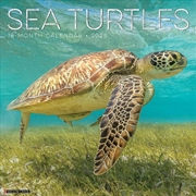 Buy Sea Turtles 2026 12 X 12 Wall Calendar
