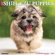 Buy Shih Tzu Puppies 2026 12 X 12 Wall Calendar