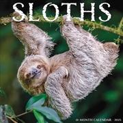 Buy Sloths 2026 12 X 12 Wall Calendar