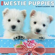 Buy Westie Puppies 2026 12 X 12 Wall Calendar