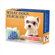 Buy What Dogs Teach Us 2026 5.4 X 6.2 Box Calendar