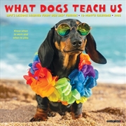 Buy What Dogs Teach Us 2026 7 X 7 Mini Wall Calendar