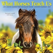 Buy What Horses Teach Us 2026 12 X 12 Wall Calendar