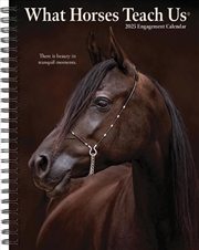 Buy What Horses Teach Us 2026 6.5 X 8.5 Engagement Calendar