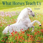 Buy What Horses Teach Us 2026 7 X 7 Mini Wall Calendar