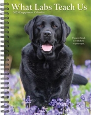 Buy What Labs Teach Us 2026 6.5 X 8.5 Engagement Calendar