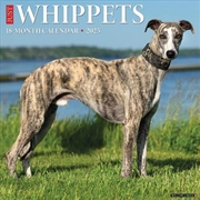 Buy Whippets 2026 12 X 12 Wall Calendar