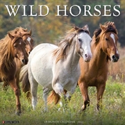 Buy Wild Horses 2026 12 X 12 Wall Calendar