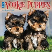 Buy Yorkie Puppies 2026 12 X 12 Wall Calendar