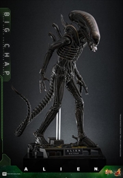 Buy Alien - Alien Big Chap 1:6 Scale Collectable Action Figure