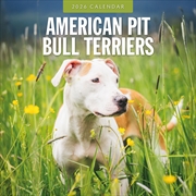 Buy American Pit Bull Terriers 2026 Square Wall Calendar