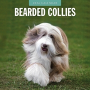Buy Bearded Collies 2026 Square Wall Calendar