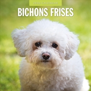Buy Bichons Frises 2026 Square Wall Calendar