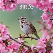 Buy Birds 2026 Square Wall Calendar