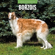Buy Borzois 2026 Square Wall Calendar