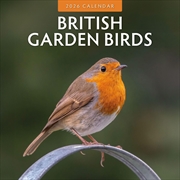 Buy British Garden Birds 2026 Square Wall Calendar