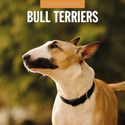 Buy Bull Terriers 2026 Square Wall Calendar