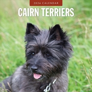Buy Cairn Terriers 2026 Square Wall Calendar