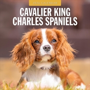 Buy Cavalier King Charles Spaniels 2026 Square Wall Calendar