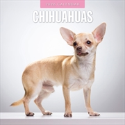 Buy Chihuahuas 2026 Square Wall Calendar
