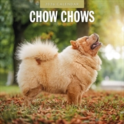 Buy Chow Chows 2026 Square Wall Calendar