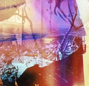 Buy Duncan / No Baby