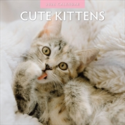 Buy Cute Kittens 2026 Square Wall Calendar
