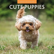 Buy Cute Puppies 2026 Square Wall Calendar