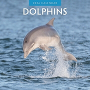 Buy Dolphins 2026 Square Wall Calendar